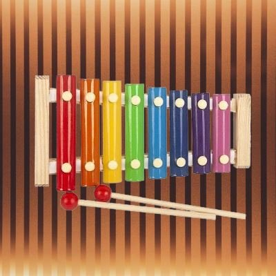 WoodenToys™ - Xylophone - Univers luxe bebe